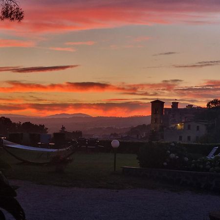 Agriturismo Le Vigne ボルセーナ エクステリア 写真