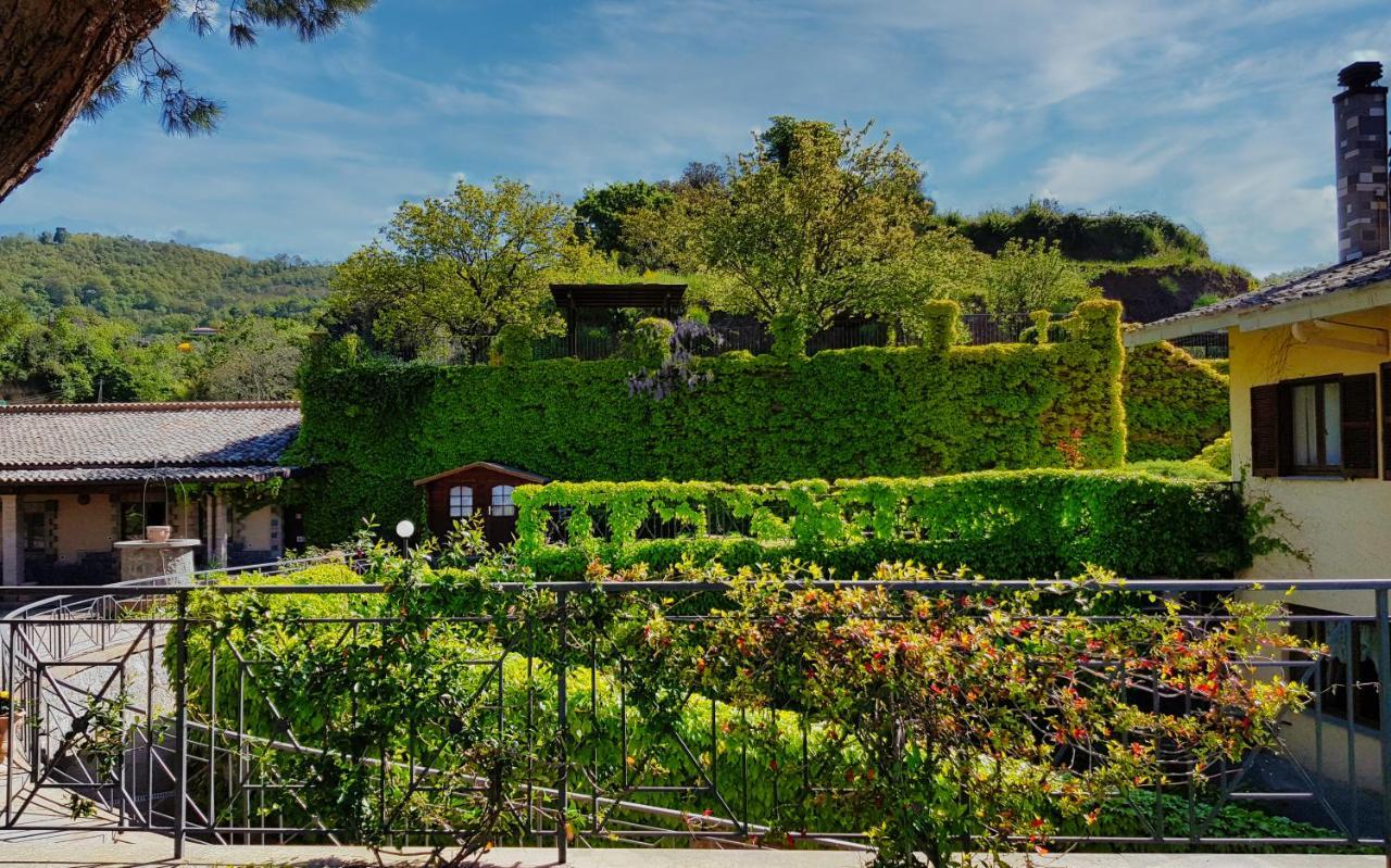 Agriturismo Le Vigne ボルセーナ エクステリア 写真