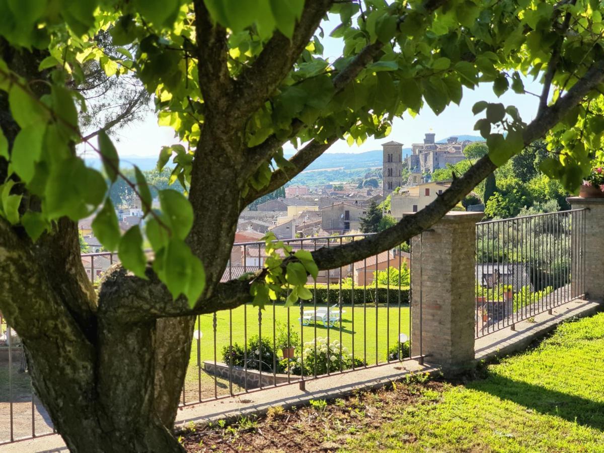 Agriturismo Le Vigne ボルセーナ エクステリア 写真