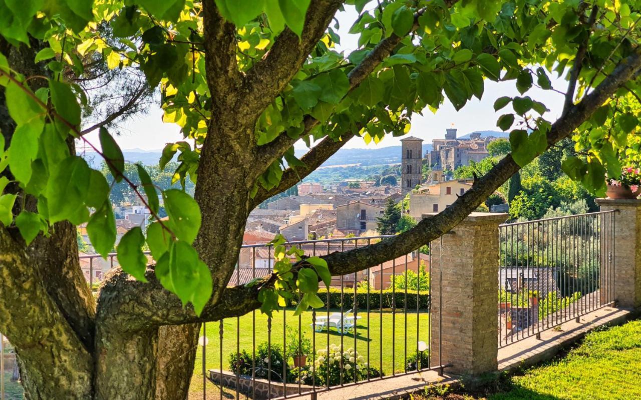 Agriturismo Le Vigne ボルセーナ エクステリア 写真