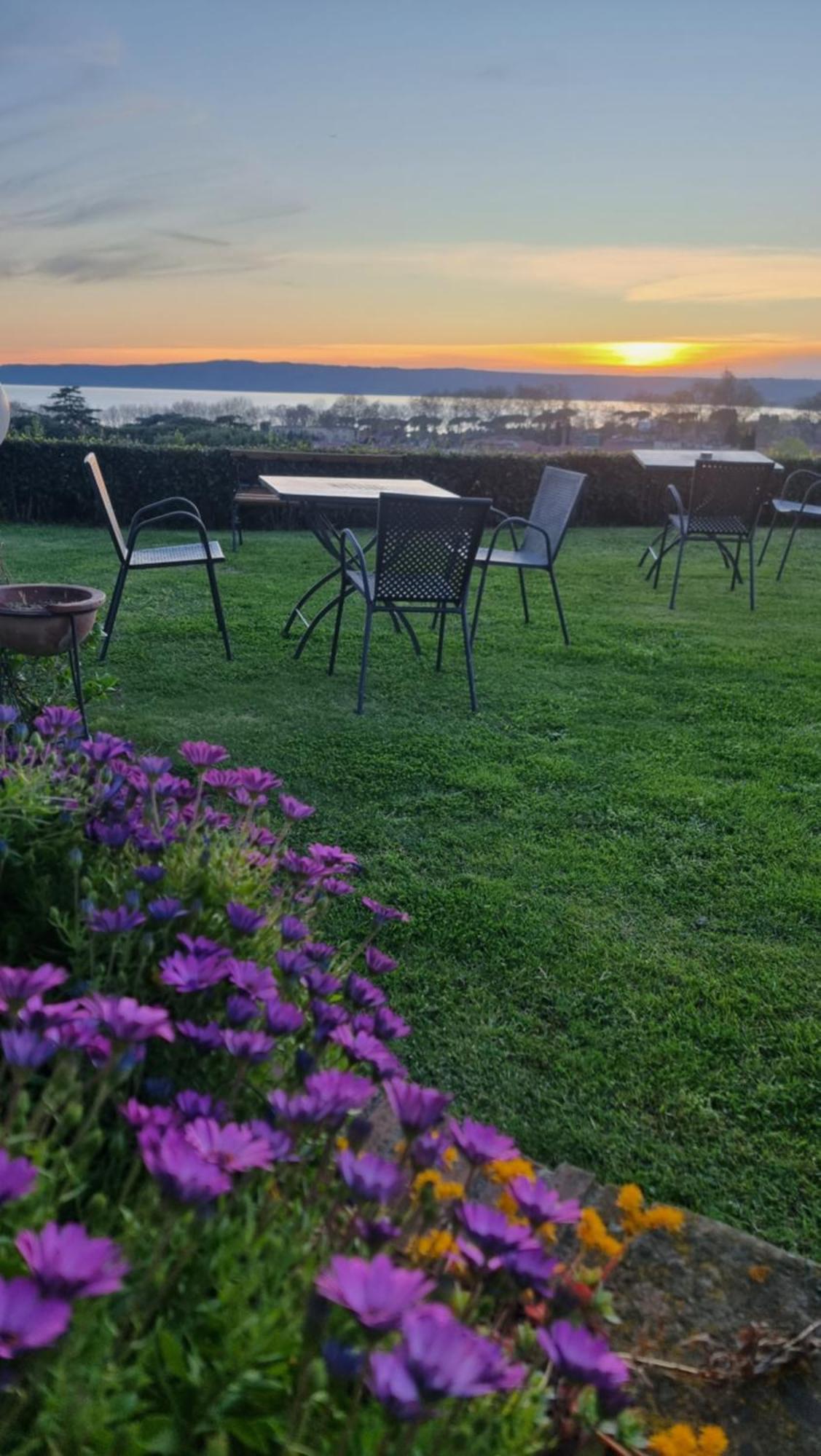 Agriturismo Le Vigne ボルセーナ エクステリア 写真